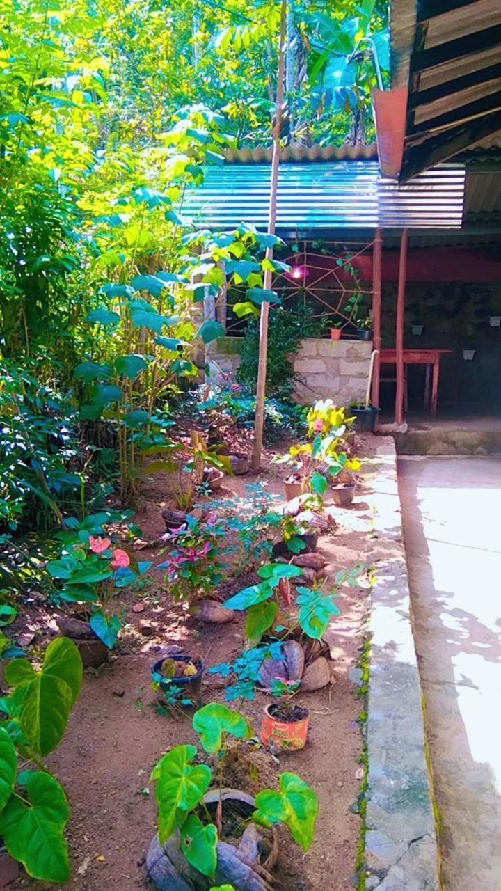 Ella Kumi Hostel Exterior photo